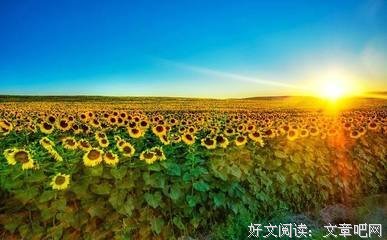 有关土崩瓦解的美文美句摘抄