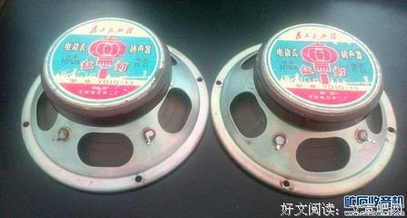 15条关于擦屁股的经典语句