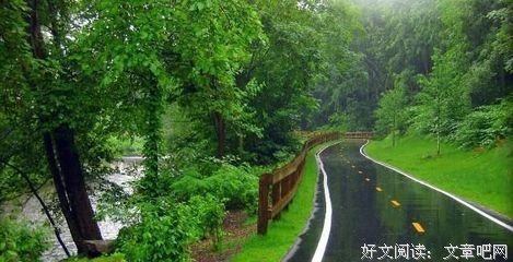杂乱经典名句