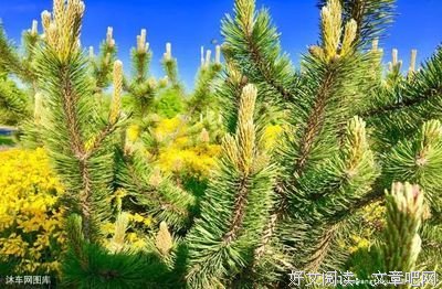 我很喜欢这段话！