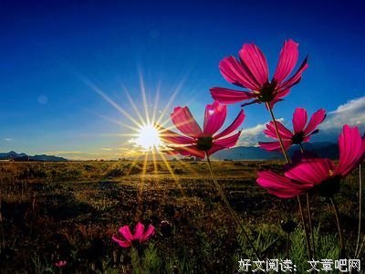 不是我变了，而是我累了