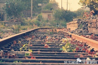 一名句欣赏