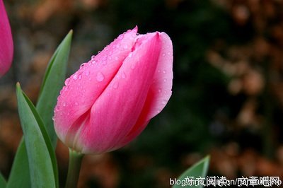 关于现当代第一个起里十的会年的句子