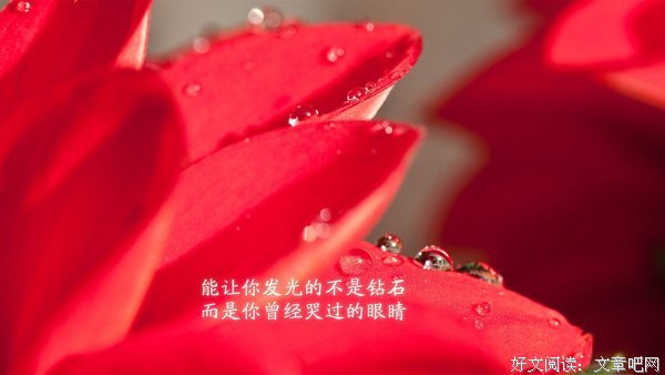 忧美句子