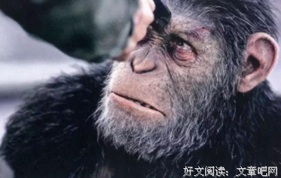《搬迁的大名》影评100字