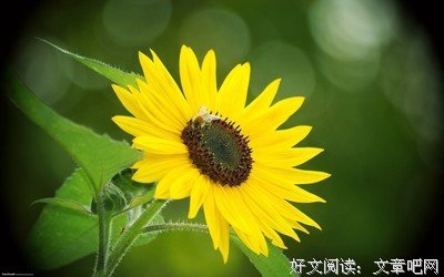 好句名句欣赏