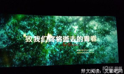 《终将成为你》好看吗？经典影评锦集