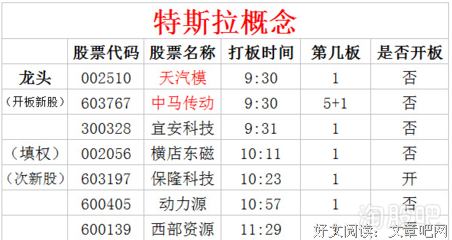 《见证》经典读后感有感