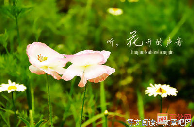 来自别处的声音经典读后感有感