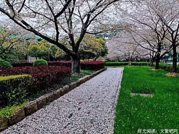 给失败建所博物馆