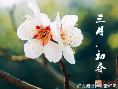 关于多此一举的语句