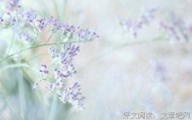 关于多种多样的名言