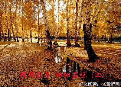《细细品味》的句子