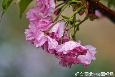 人和人相处，就两个字！