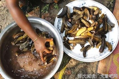 疫情中吃垃圾的印度人，撕开了穷人最后一层遮羞布