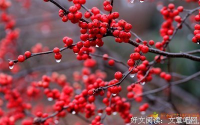 么风格每纸空谈句子大全