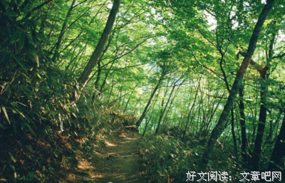 年年有余，周周复带上优美的句子