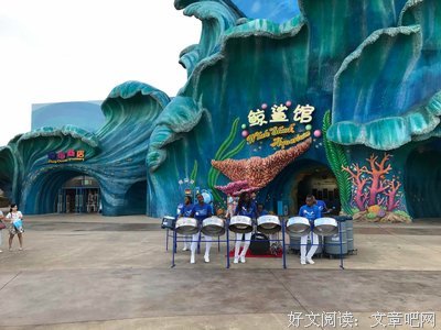 《北极大宝荐》好看吗？经典观后感锦集