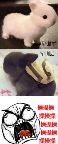 拈一纸繁华，落一处盈筏经典名句