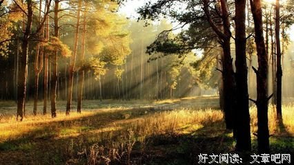 《金色相片》观后感精选