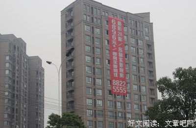 品园读后感1000字