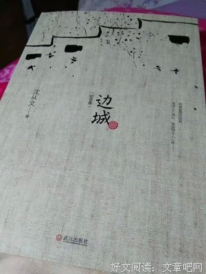 《沈从文九讲》经典读后感有感