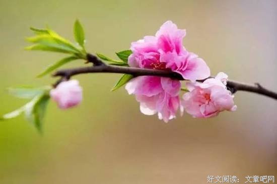 莫负人生好时光