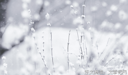 生命的脆弱
