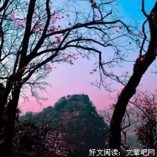 人生没有下辈子