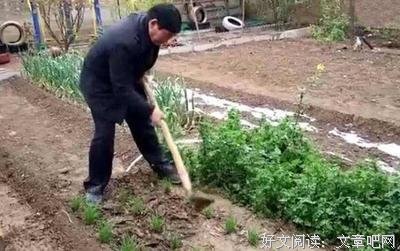 再见了，大衣哥！