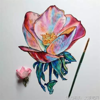 你又不是我，何必评价我