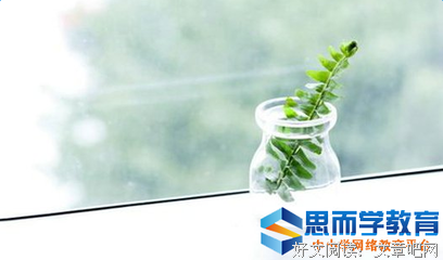 很好的优美句子