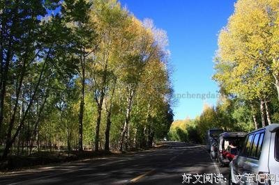 关于吉光片羽的句子