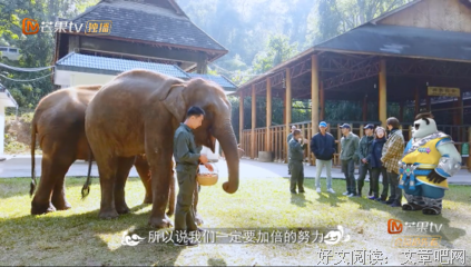 《追球》的影评大全