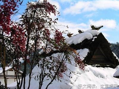 精妙句子
