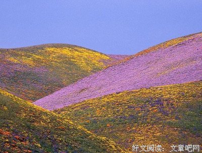 【感悟】此时的我，是最好的我 