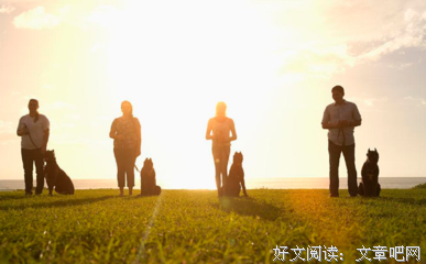 男生追到一半就不追了，除了等，你还能做什么？