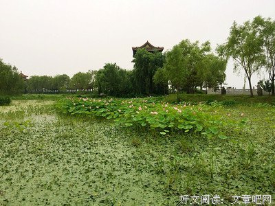 陌上花开。经典名句