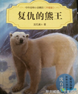 《熊与狸的四季之旅》读后感精选