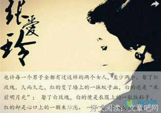 张爱玲读后感锦集
