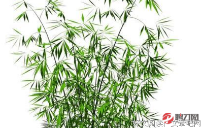 关于婀娜多姿的语句