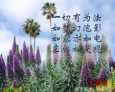 关于心高气傲的座右铭