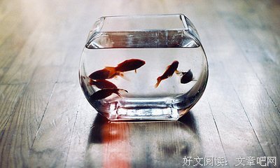 《易经》的句子