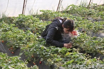甜蜜的名言_关于甜蜜的名言