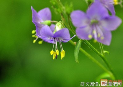 辉煌的名言_关于辉煌的名言