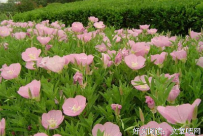 描写悲观的经典句子
