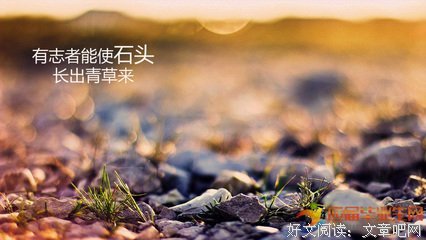 关于无能为力的语句