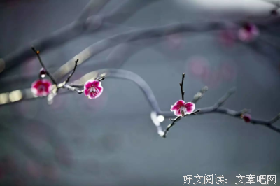 黄昏名句欣赏