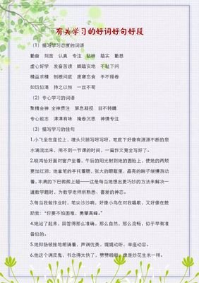 后来我们都老了好词好句