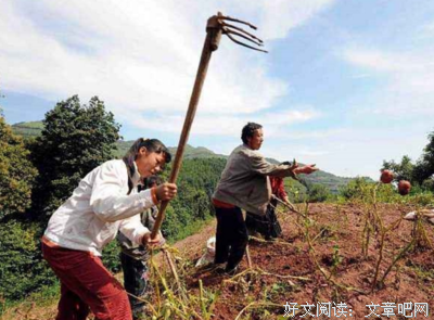 一个月后，将有上千人返回农村，因为马上...